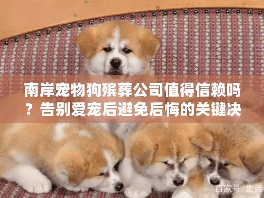 南岸宠物狗殡葬公司值得信赖吗？告别爱宠后避免后悔的关键决策法