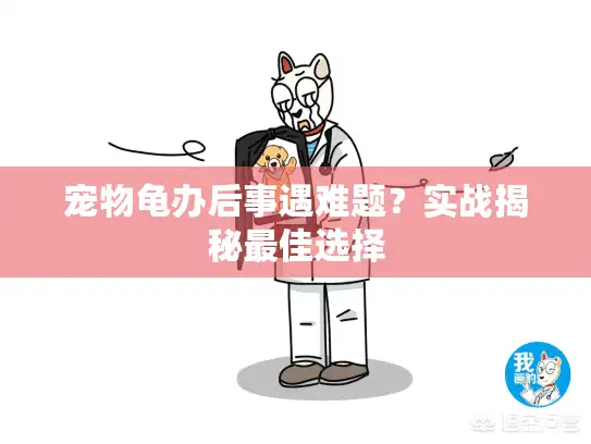 宠物龟办后事遇难题？实战揭秘最佳选择
