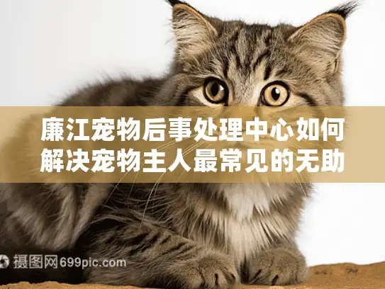 廉江宠物后事处理中心如何解决宠物主人最常见的无助感？