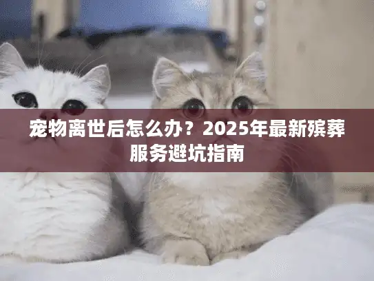 宠物离世后怎么办？2025年最新殡葬服务避坑指南