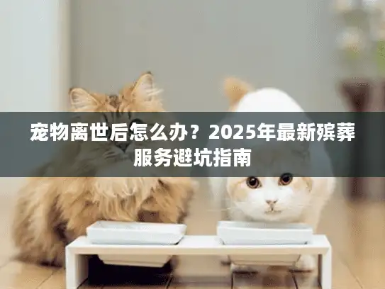 宠物离世后怎么办？2025年最新殡葬服务避坑指南
