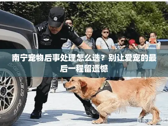南宁宠物后事处理怎么选？别让爱宠的最后一程留遗憾