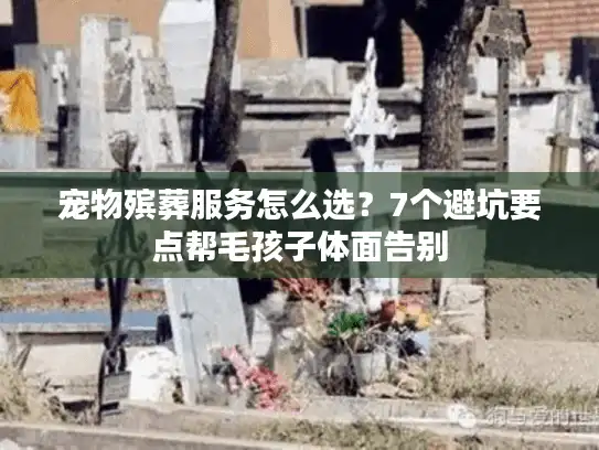 宠物殡葬服务怎么选？7个避坑要点帮毛孩子体面告别