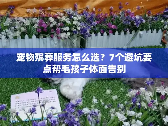 宠物殡葬服务怎么选？7个避坑要点帮毛孩子体面告别