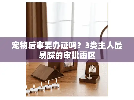 宠物后事要办证吗？3类主人最易踩的审批雷区