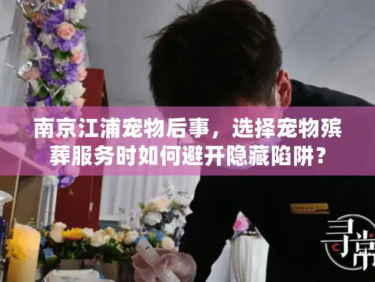 南京江浦宠物后事，选择宠物殡葬服务时如何避开隐藏陷阱？