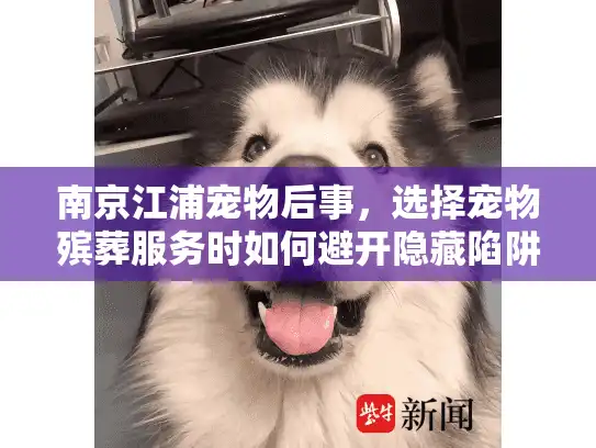 南京江浦宠物后事，选择宠物殡葬服务时如何避开隐藏陷阱？