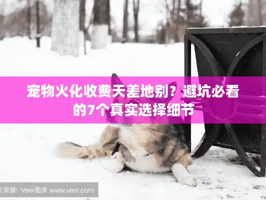 宠物火化收费天差地别？避坑必看的7个真实选择细节