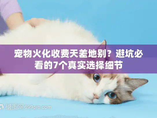 宠物火化收费天差地别？避坑必看的7个真实选择细节