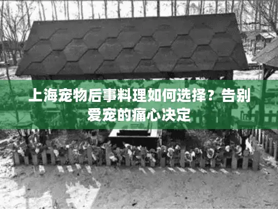 上海宠物后事料理如何选择？告别爱宠的痛心决定