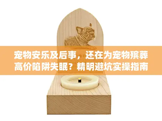 宠物安乐及后事，还在为宠物殡葬高价陷阱失眠？精明避坑实操指南