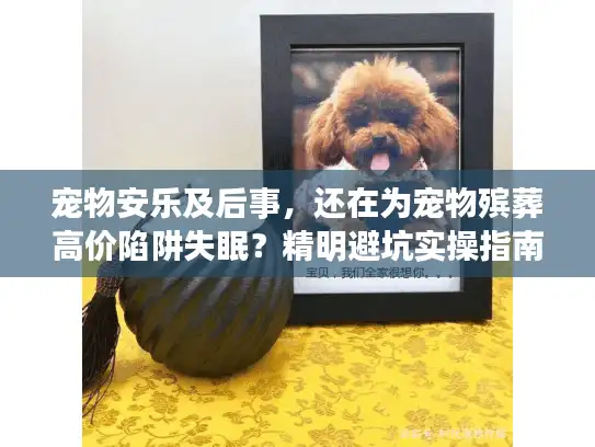 宠物安乐及后事，还在为宠物殡葬高价陷阱失眠？精明避坑实操指南