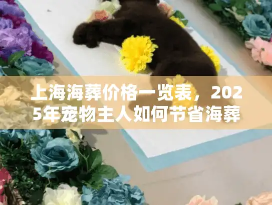 上海海葬价格一览表，2025年宠物主人如何节省海葬费用？