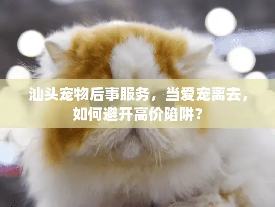 汕头宠物后事服务，当爱宠离去，如何避开高价陷阱？