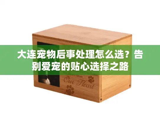 大连宠物后事处理怎么选？告别爱宠的贴心选择之路