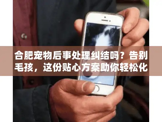 合肥宠物后事处理纠结吗？告别毛孩，这份贴心方案助你轻松化解困惑
