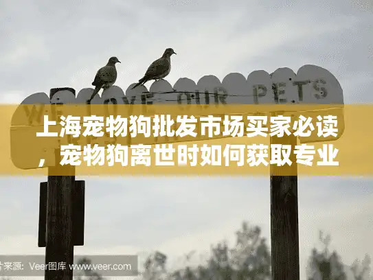 上海宠物狗批发市场买家必读，宠物狗离世时如何获取专业的殡葬服务？