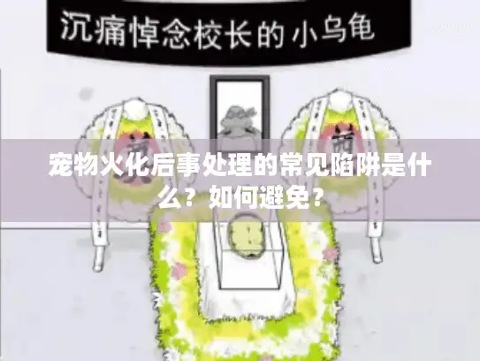 宠物火化后事处理的常见陷阱是什么？如何避免？