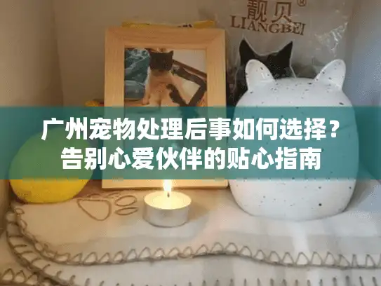 广州宠物处理后事如何选择？告别心爱伙伴的贴心指南