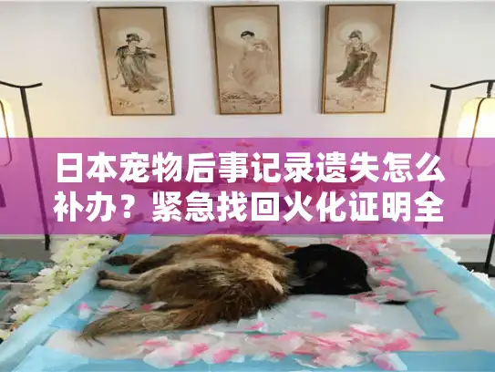 日本宠物后事记录遗失怎么补办？紧急找回火化证明全攻略