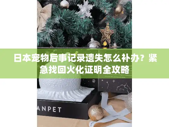 日本宠物后事记录遗失怎么补办？紧急找回火化证明全攻略
