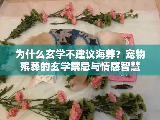 为什么玄学不建议海葬？宠物殡葬的玄学禁忌与情感智慧