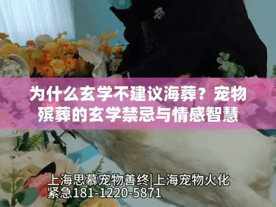 为什么玄学不建议海葬？宠物殡葬的玄学禁忌与情感智慧