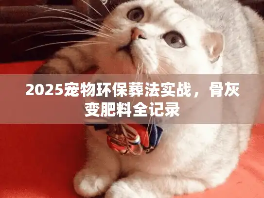 2025宠物环保葬法实战，骨灰变肥料全记录