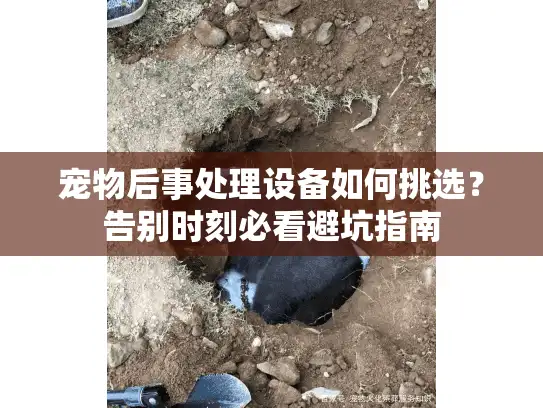 宠物后事处理设备如何挑选？告别时刻必看避坑指南