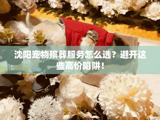 沈阳宠物殡葬服务怎么选？避开这些高价陷阱！