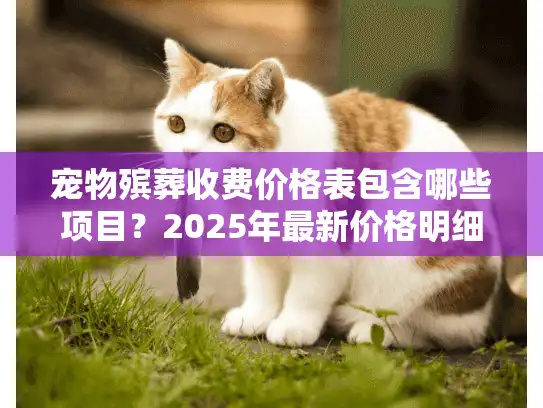 宠物殡葬收费价格表包含哪些项目？2025年最新价格明细参考