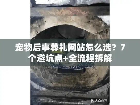 宠物后事葬礼网站怎么选？7个避坑点+全流程拆解