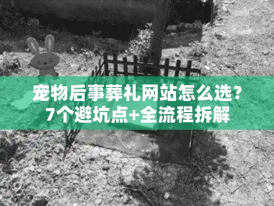 宠物后事葬礼网站怎么选？7个避坑点+全流程拆解