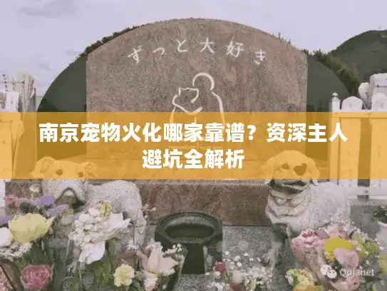 南京宠物火化哪家靠谱？资深主人避坑全解析