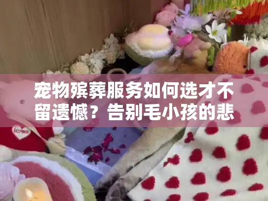 宠物殡葬服务如何选才不留遗憾？告别毛小孩的悲痛时刻