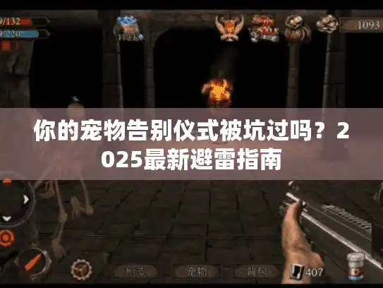 你的宠物告别仪式被坑过吗？2025最新避雷指南