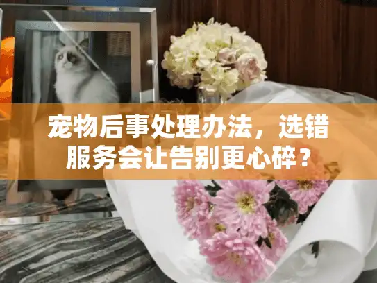 宠物后事处理办法，选错服务会让告别更心碎？