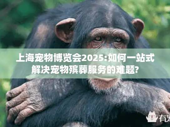 上海宠物博览会2025:如何一站式解决宠物殡葬服务的难题?