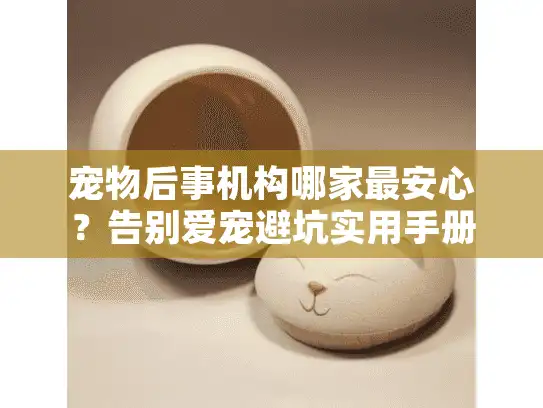 宠物后事机构哪家最安心？告别爱宠避坑实用手册