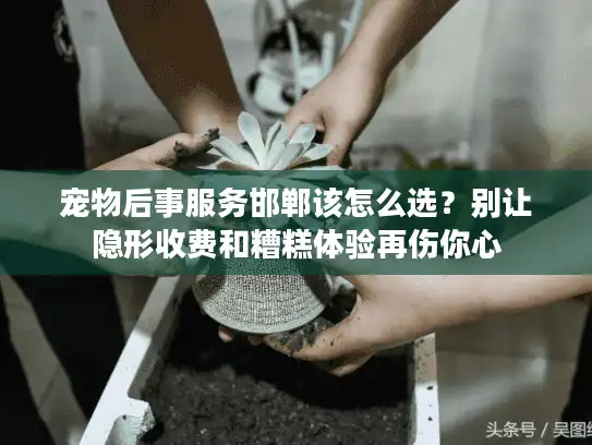 宠物后事服务邯郸该怎么选？别让隐形收费和糟糕体验再伤你心