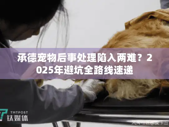 承德宠物后事处理陷入两难？2025年避坑全路线速递