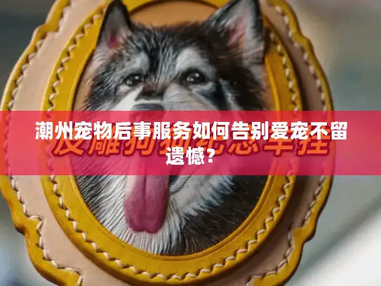 潮州宠物后事服务如何告别爱宠不留遗憾？