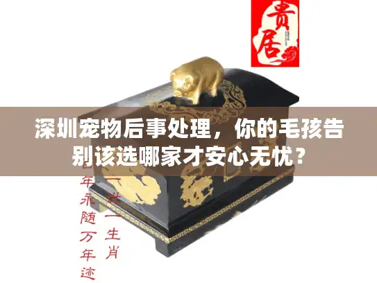 深圳宠物后事处理，你的毛孩告别该选哪家才安心无忧？