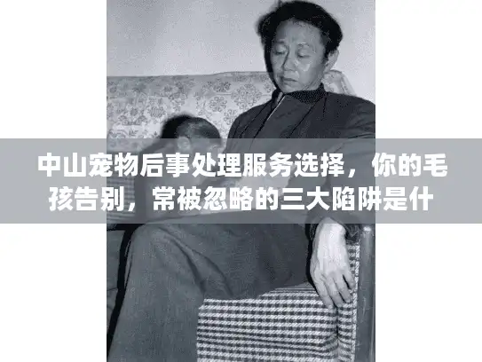 中山宠物后事处理服务选择，你的毛孩告别，常被忽略的三大陷阱是什么？