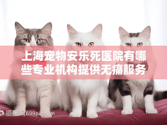 上海宠物安乐死医院有哪些专业机构提供无痛服务？