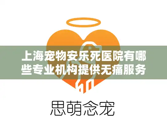 上海宠物安乐死医院有哪些专业机构提供无痛服务？