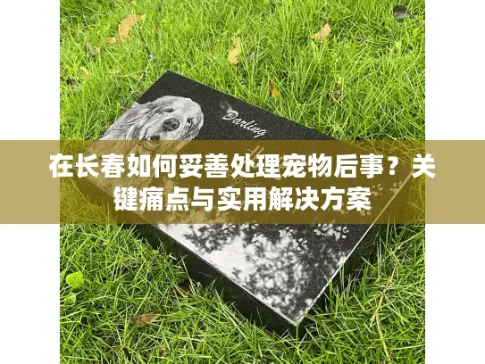 在长春如何妥善处理宠物后事？关键痛点与实用解决方案