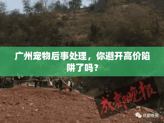 广州宠物后事处理，你避开高价陷阱了吗？