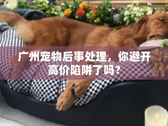 广州宠物后事处理，你避开高价陷阱了吗？
