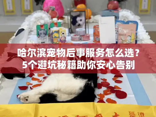 哈尔滨宠物后事服务怎么选？5个避坑秘籍助你安心告别